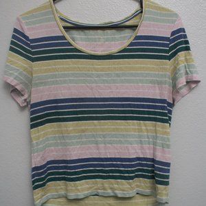 American Eagle  Crop Top